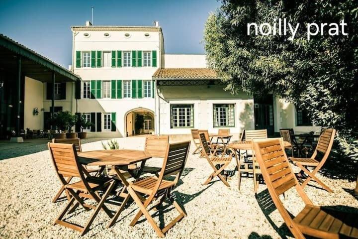 Le Corinthe - Appt Classe 3 Etoiles Et Climatise Marseillan  Exterior photo